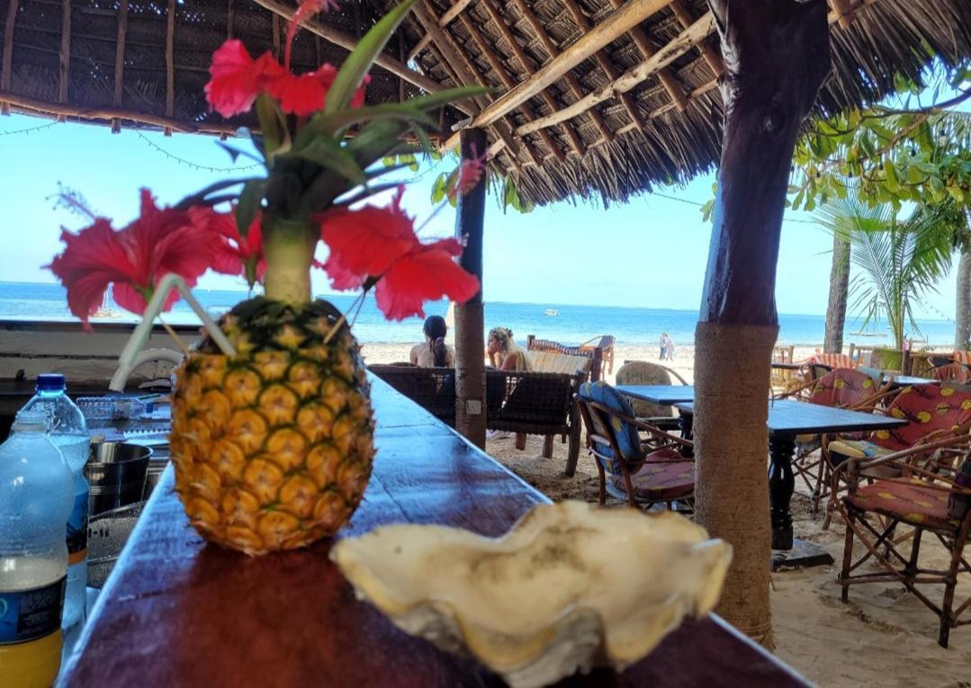 Sipano Beach Lodge Kiwengwa キウェンワ エクステリア 写真