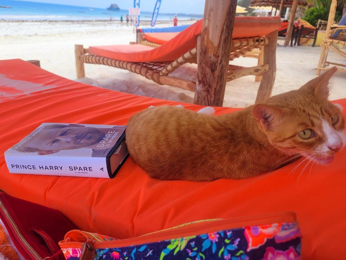 Sipano Beach Lodge Kiwengwa キウェンワ エクステリア 写真