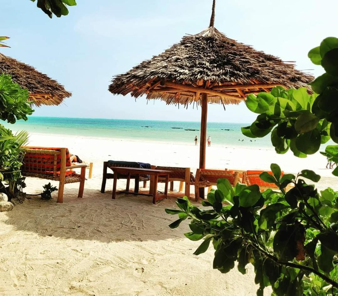 Sipano Beach Lodge Kiwengwa キウェンワ エクステリア 写真