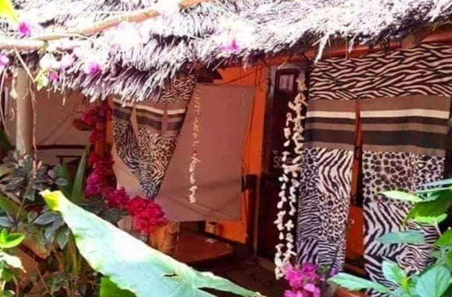 Sipano Beach Lodge Kiwengwa キウェンワ エクステリア 写真