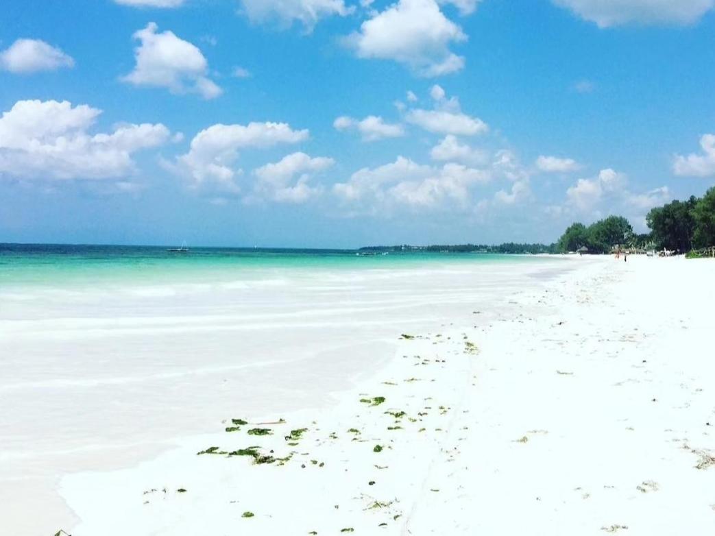 Sipano Beach Lodge Kiwengwa キウェンワ エクステリア 写真