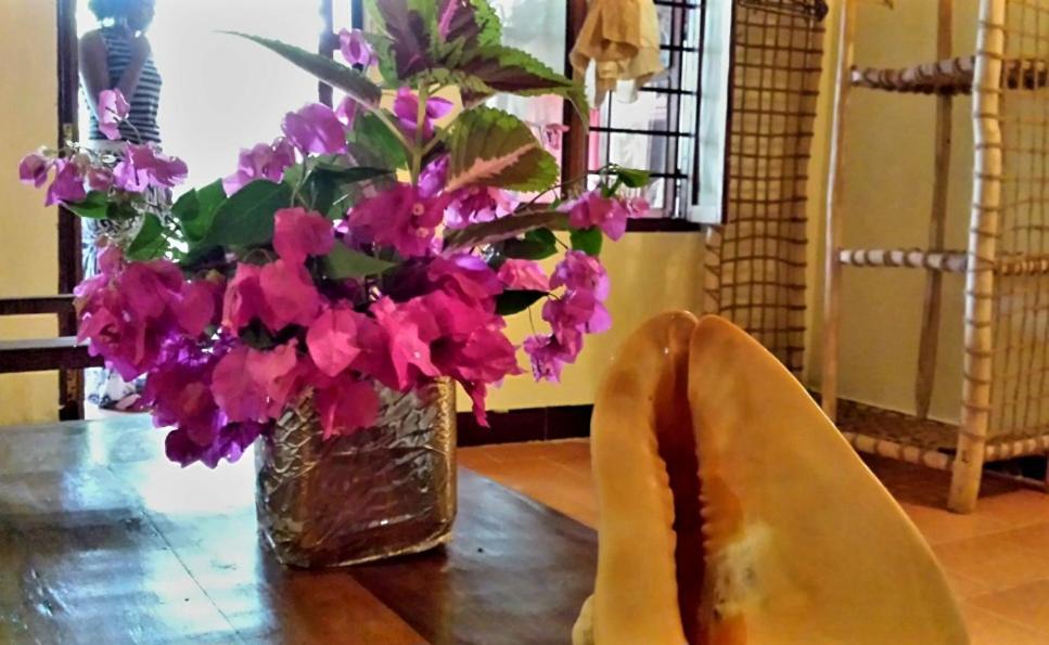 Sipano Beach Lodge Kiwengwa キウェンワ 部屋 写真